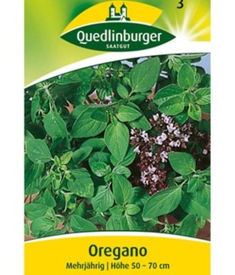 Oregano von Quedlinburger von BALDUR-Garten auf blumen.de