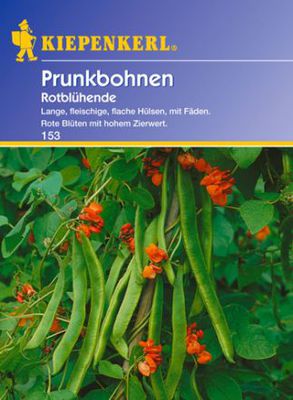 Prunkbohne 'Rotblühende'  von Gartengruen-24 auf blumen.de