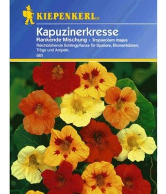 Rankender Kapuzinerkressen-Mix von BALDUR-Garten auf blumen.de
