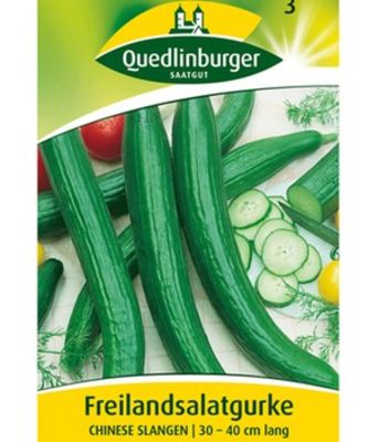 Salatgurke ´Chinese Slangen´ von BALDUR-Garten auf blumen.de