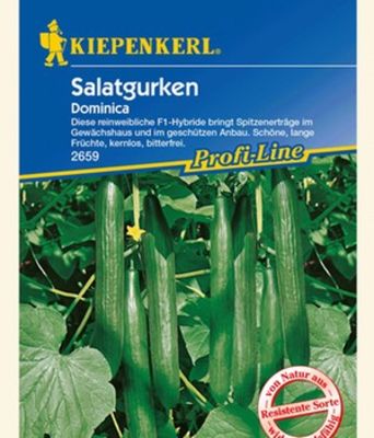 Salatgurken ´Dominica´ von BALDUR-Garten auf blumen.de