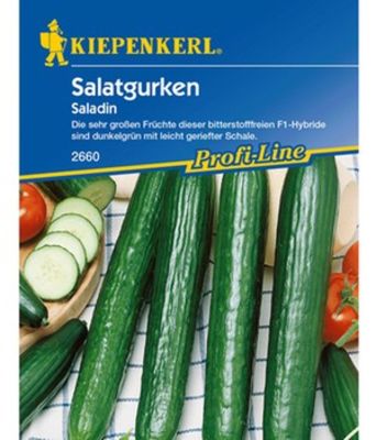 Salatgurken ´Saladin´ von BALDUR-Garten auf blumen.de