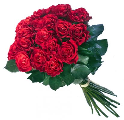 Strauß aus 12 roten Rosen von Flowers-deluxe auf blumen.de
