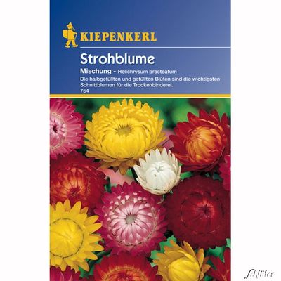 Strohblumen-Mischung von Garten Schlüter auf blumen.de