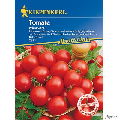 Tomaten (Cherry) ´Primavera´ von Garten Schlüter auf blumen.de