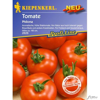 Tomaten ´Philona´ von Garten Schlüter auf blumen.de