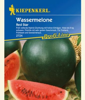 Wassermelone ´Red Star´ F1 von BALDUR-Garten auf blumen.de