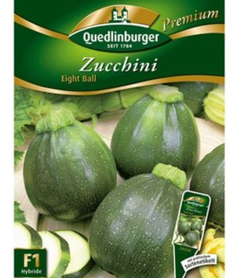 Zucchini ´Eight Ball´ F1 von BALDUR-Garten auf blumen.de