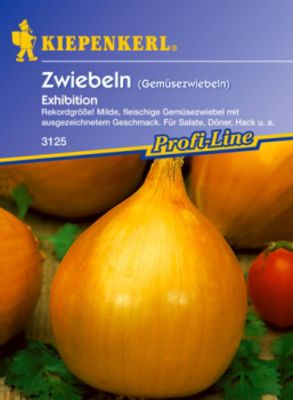 Zwiebel 'Exhibition' von Gartengruen-24 auf blumen.de