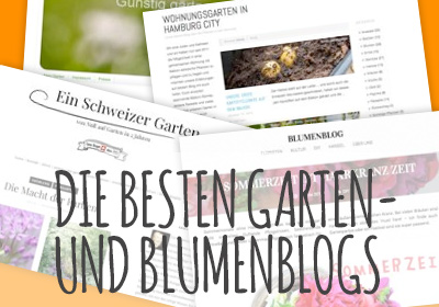 Die besten Garten- und Blumenblogs auf Blumen.de