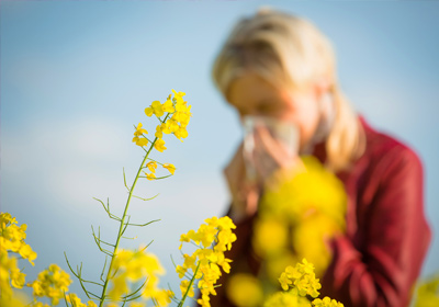 Pflanzen und Blumen für Allergiker- welche sind geeignet und welche verursachen Probleme?